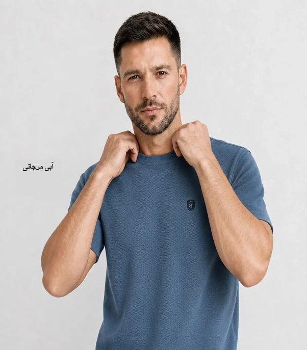 تیشرت مردانه یقه گرد جودون