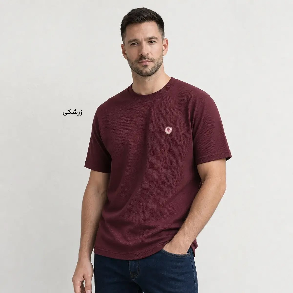 تیشرت مردانه یقه گرد جودون زرشکی